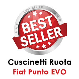 Cuscinetto Ruota Fiat Punto EVO