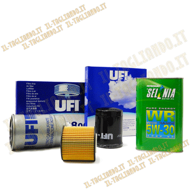 Kit Tagliando Punto Evo 1.3 multijet 75 e 95 cv EURO 5